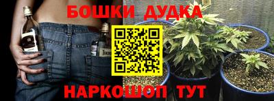 ПСИЛОЦИБИНОВЫЕ ГРИБЫ Сланцы